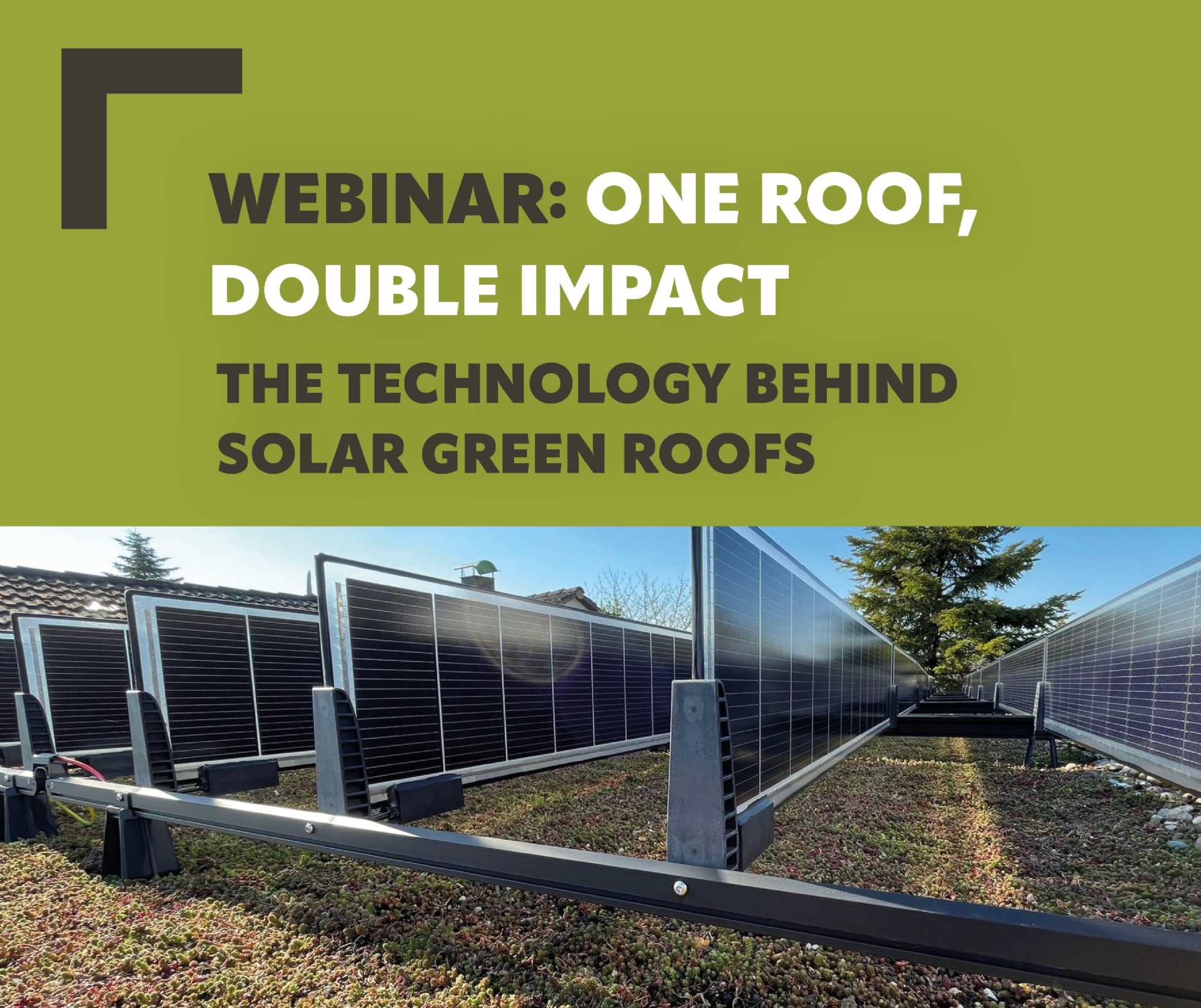 Webinar | One roof, double impact: The Technology Behind Solar Green Roofs